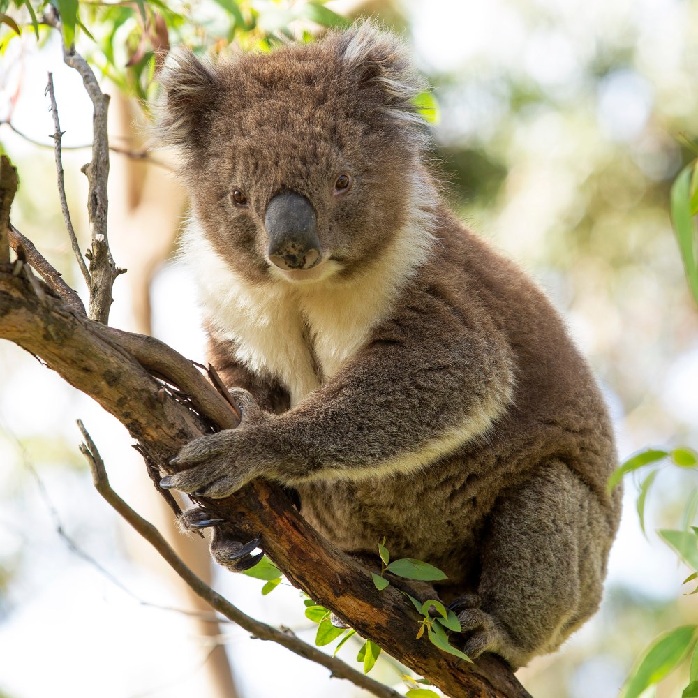 IMG_0759 copy - square crop