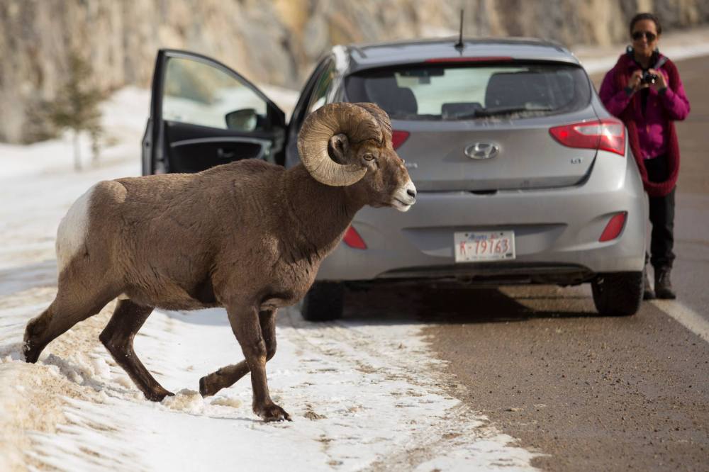 12696648_10153938402601241_1088051855_o