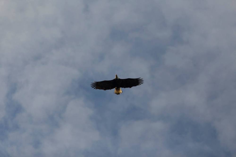 12696720_10153925301871241_853424774_o