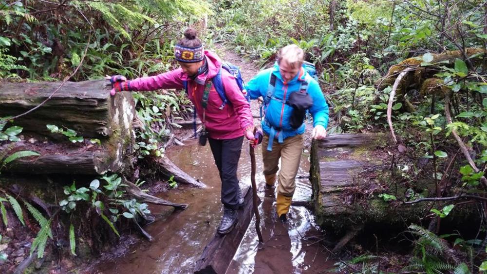 20160201_113301 (Copy)