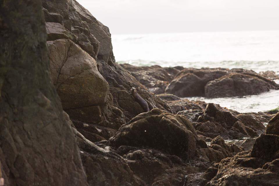 received_10153925303736241